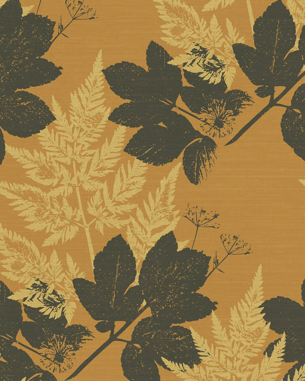 Alexanders Parsley – Horse Parsley