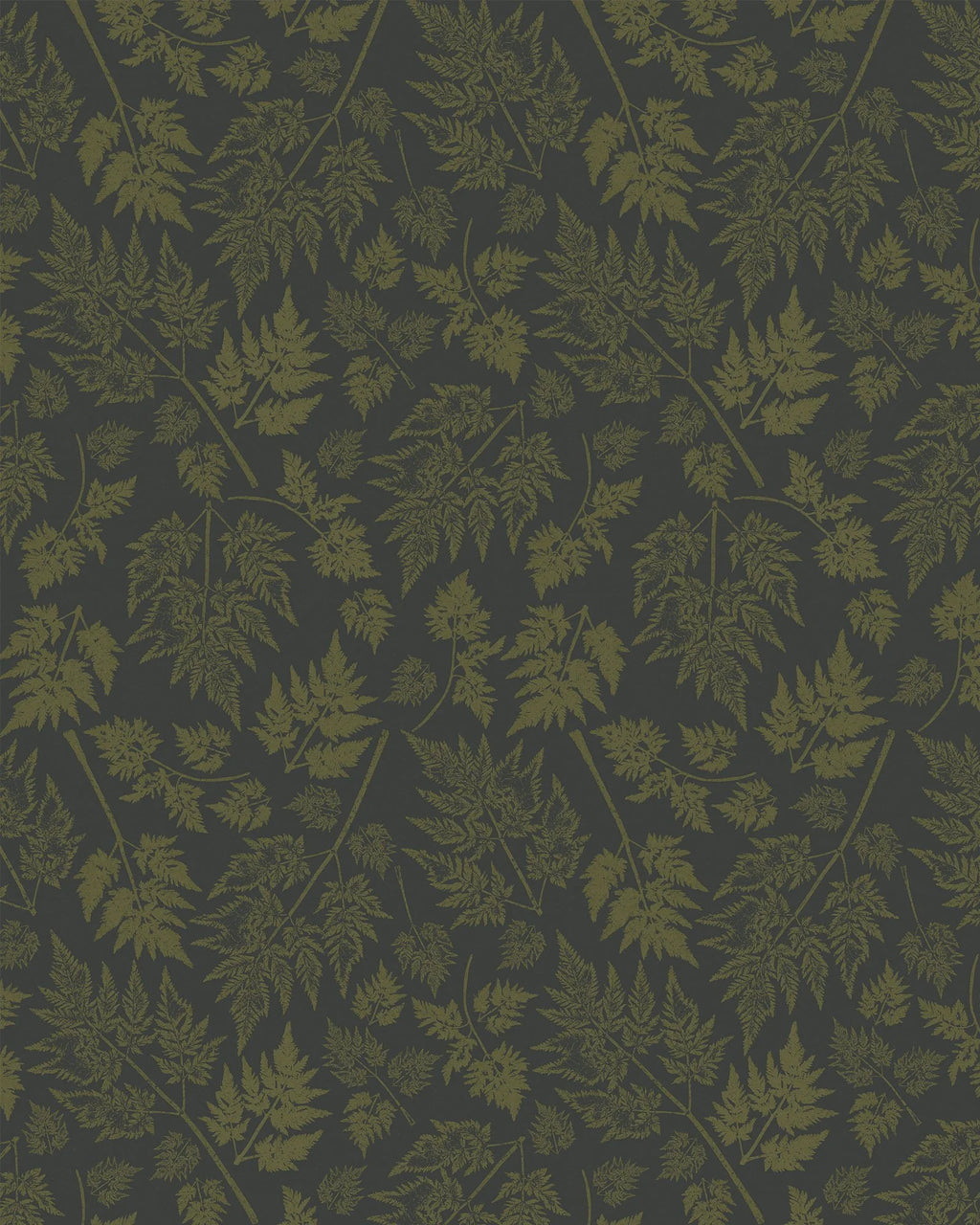 Parsley – Hedgerow