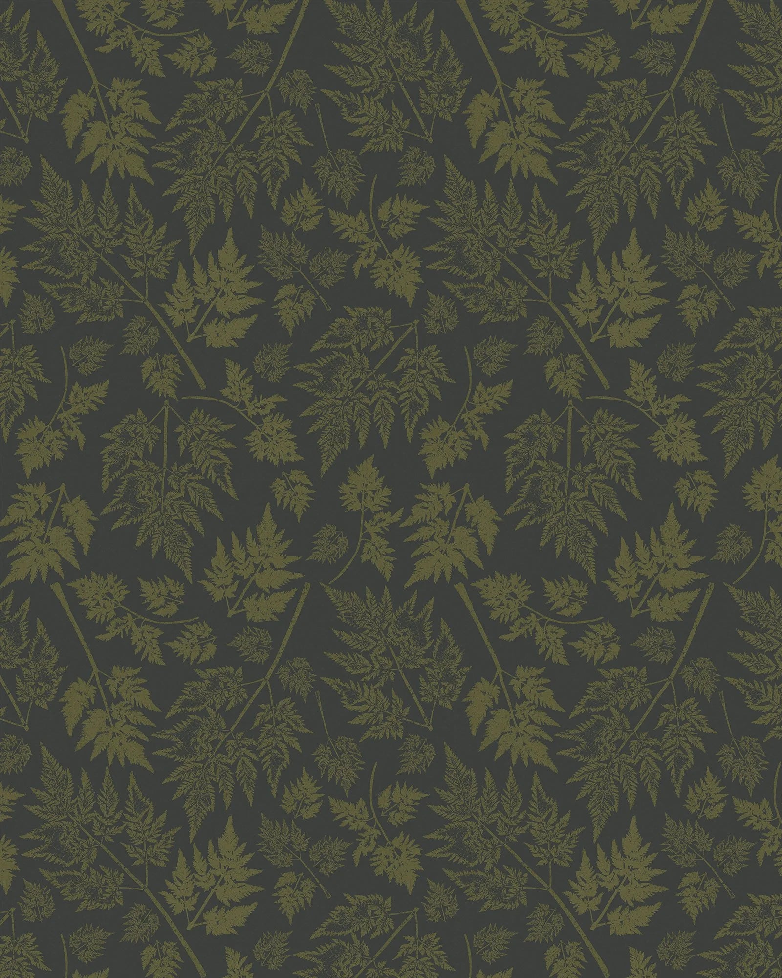 Parsley – Hedgerow