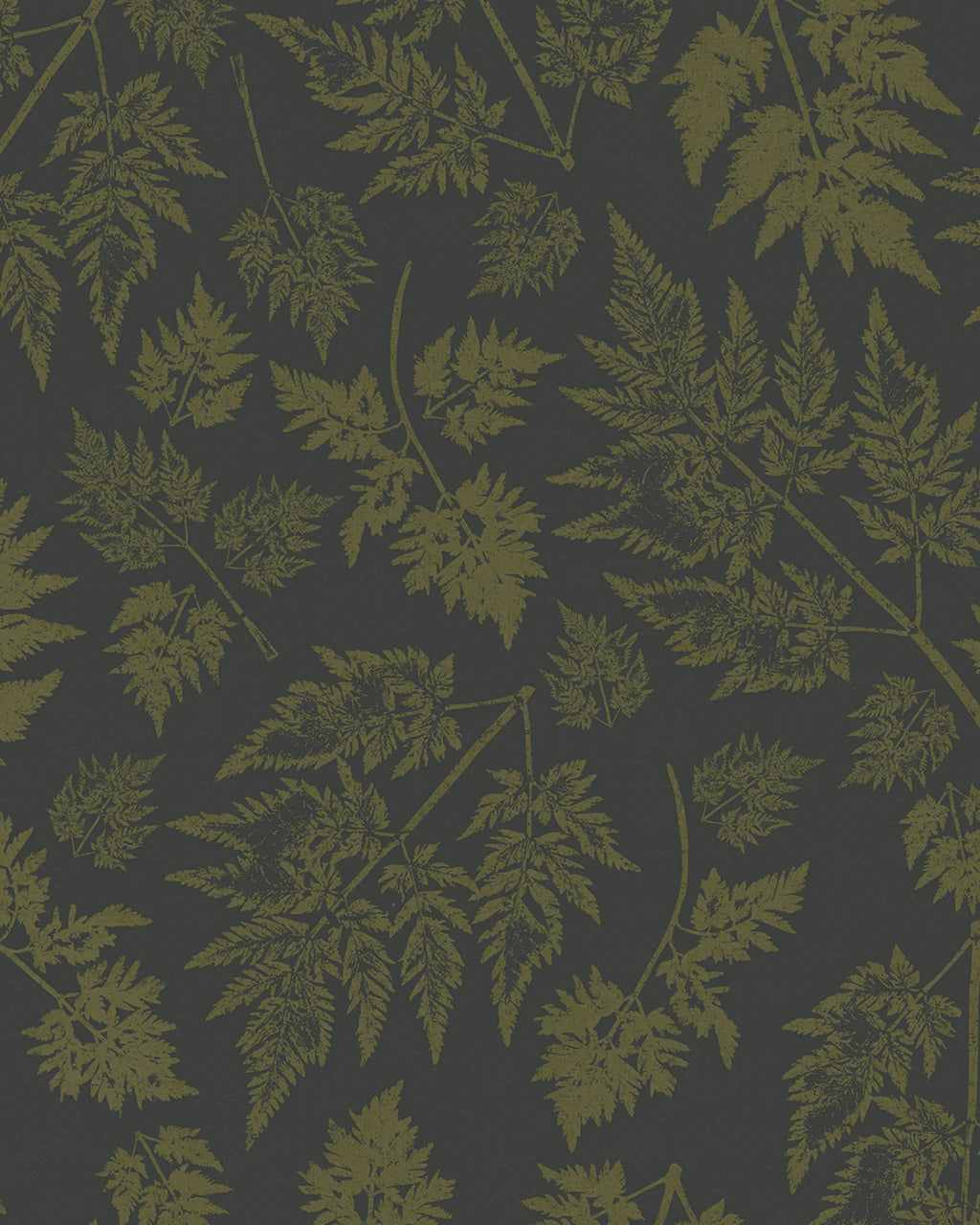 Parsley – Hedgerow