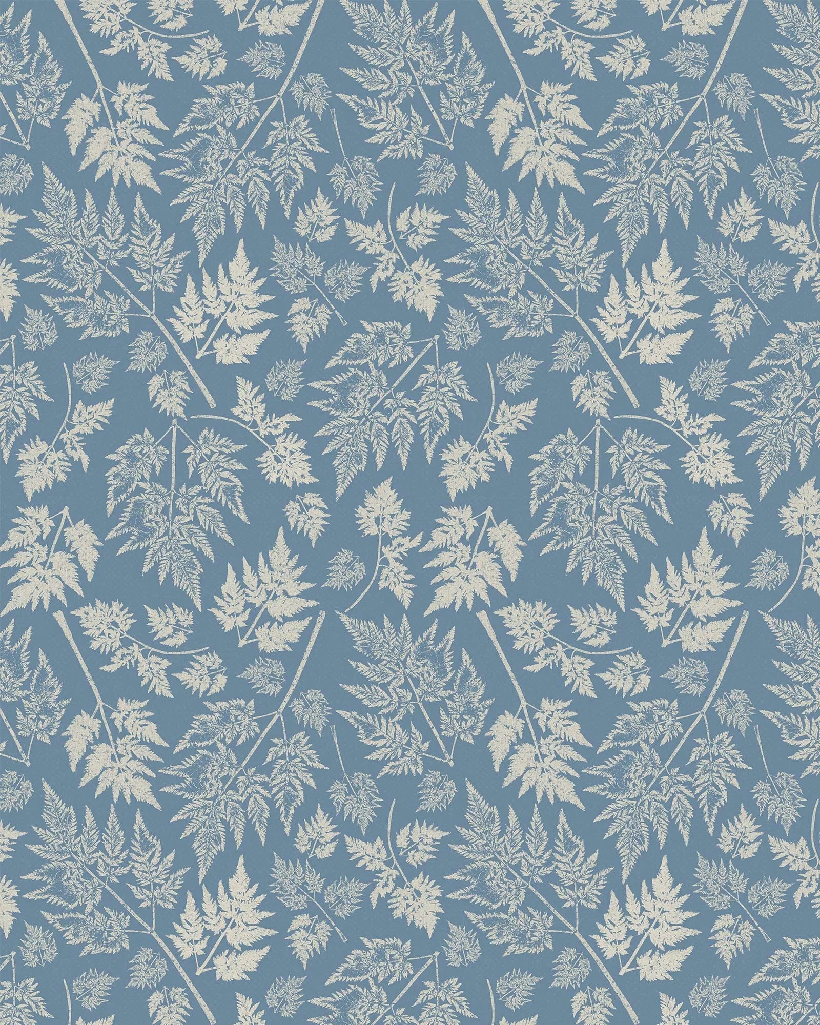 Parsley – Queen Anne's Lace