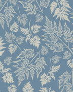 Parsley – Queen Anne's Lace