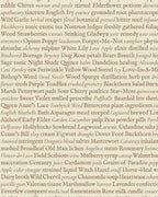 Writ – Script