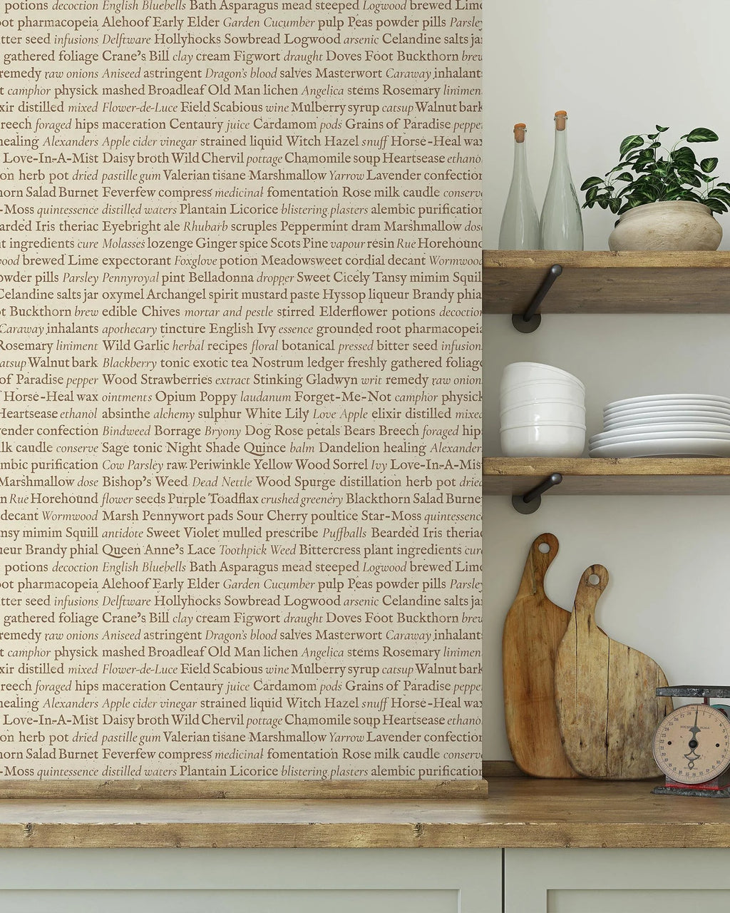 Writ – Script