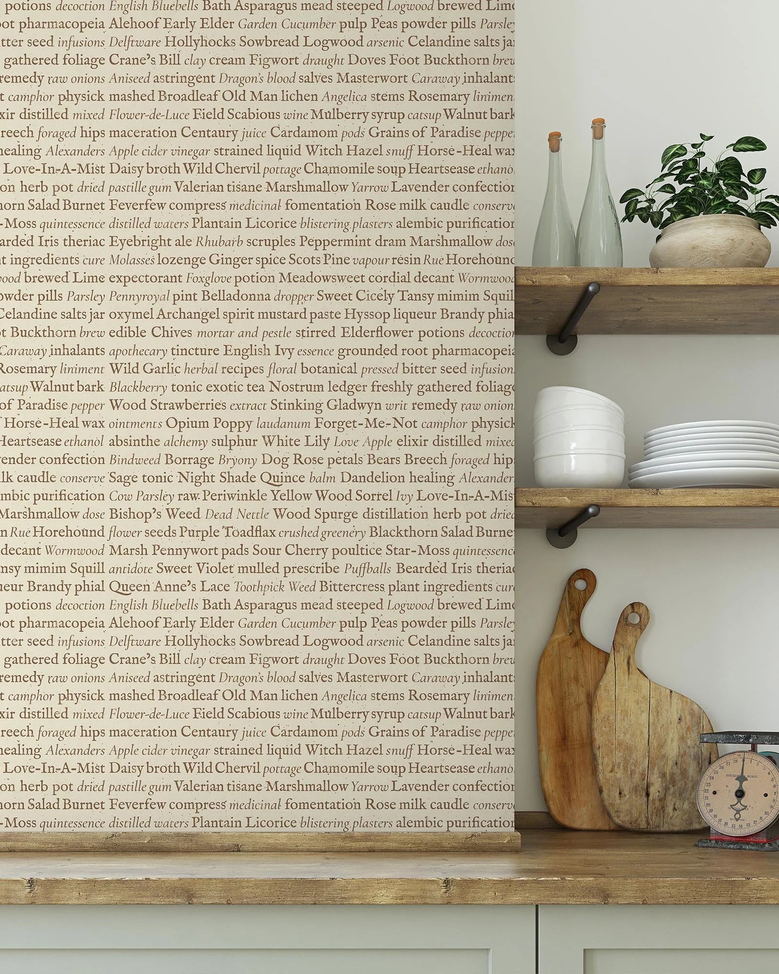 Writ – Script