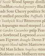 Writ – Script